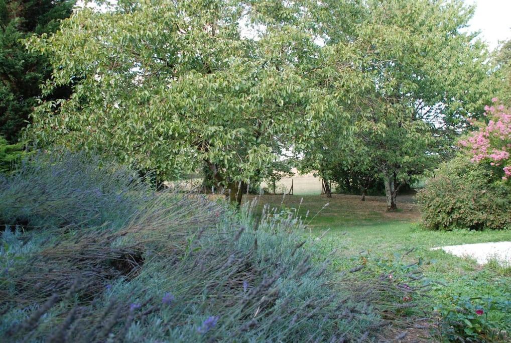 Uniquely Private Holiday Villa In The Charente Puyreaux Exteriör bild