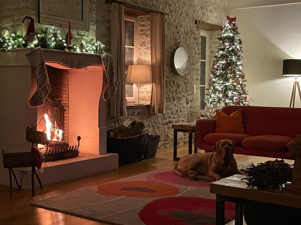 Uniquely Private Holiday Villa In The Charente Puyreaux Exteriör bild